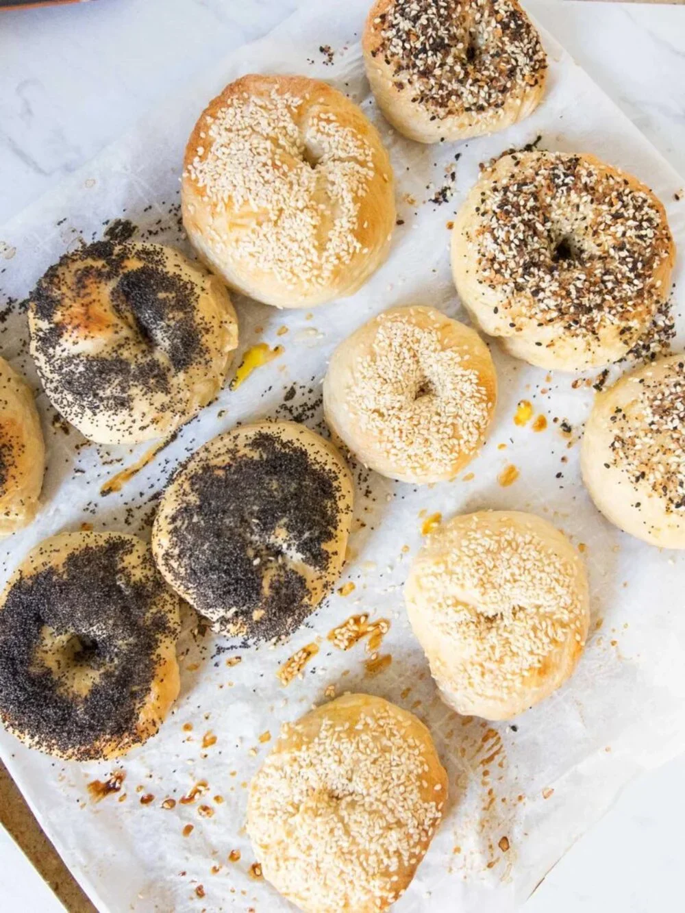 Farm Steady Mixed Dozen Bagel Kit, NIB
